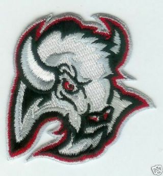 1996 - 2006 Buffalo Sabres Nhl Hockey Vintage 2.  5 " Diecut Team Logo Patch