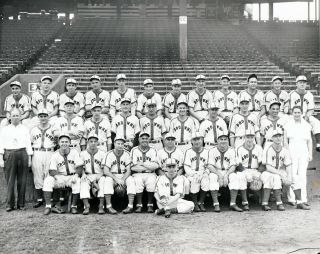 St Louis Browns - 1944 Al Champions - 8x10 B&w Team Photo
