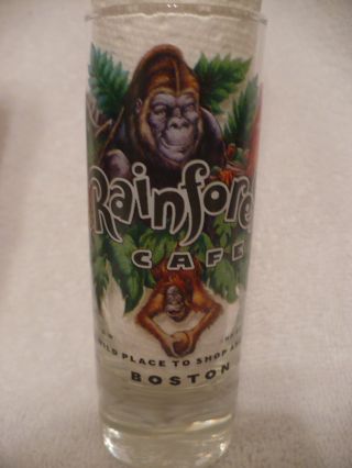 Boston Rainforest Cafe 4 " Shooter Double Shot Glass A Wild Place To Shop And Eat
