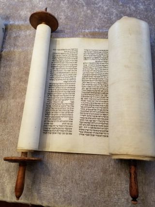 Huge 23.  3 " Klaf Antique Sefer Torah Written In Poland About 100 Years Ago.