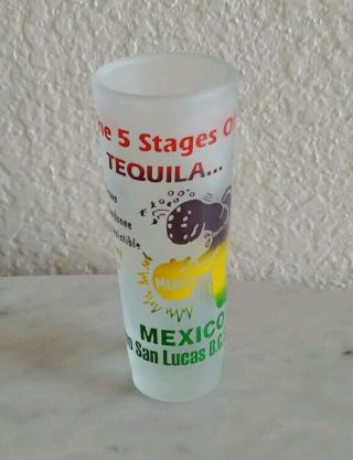 Mexico Cabo San Lucas Souvenir 4 " Tall Frosted Shot Glass 5 Stages Of Tequila