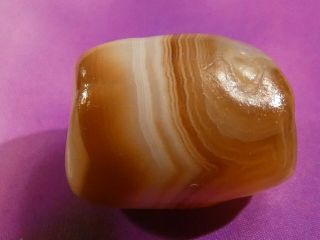 Ancient Indo Tibetan Chung Dzi Agate Banded Barrel Bead 13.  8 By 10.  5 Mm