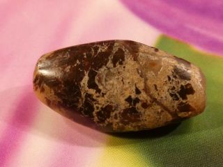 Ancient Indus Balochistan Picture Jasper Bead Gorgeous Red White 24.  4 By 12.  7mm