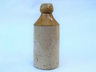 Rare CAPE TOWN stoneware GINGER BEER bottle SOUTH AFRICA Neptune Daly & Day 3