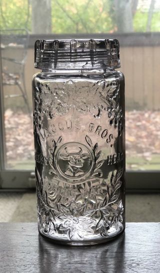 ANTIQUE PINT FLACCUS BROS STEERS HEAD FRUIT MASON CANNING JAR CLEAR/SCA 3