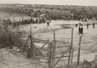 Photo Print,  Jewish Cyprus Jews Ww2 Immigrants Dp Camp 1949 Leaving To Israel