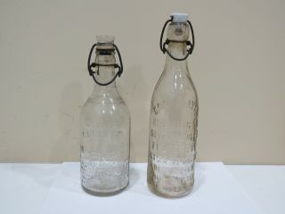 Antique David Mayer Brewing Co Beer Bottle & Solution Citrate Magnesia Bottle