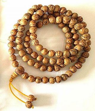 Tibetan Rare Nepal Jewelry Bodhi Seed Mala 108 Bead Necklace Phoenix Eye Gurubea