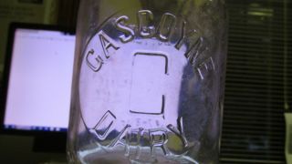 Lockport,  N.  Y.  Gascoyne Dairy TREQ Cream Separator DENT Milk Bottle YORK 2
