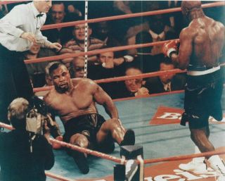 Evander Holyfield Floors Mike Tyson 8x10 Photo Boxing Picture