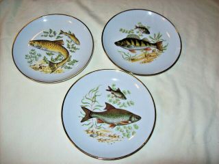 Naaman Israel - Set Of 3 Fish Plates - Porcelain - Rare Find - 6.  5 " Across