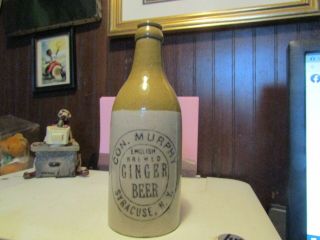 8 " Ginger Beer Bottle From Syracuse,  Ny Con.  Murphy English Brewed