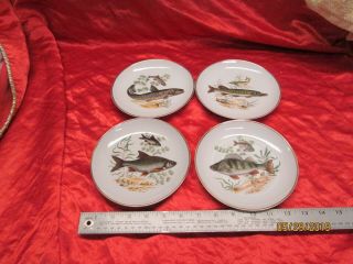 Naaman Israel - Set Of 4 Fish Plates - Porcelain - Rare Find - All Differant