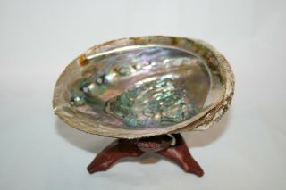Smudge Kit: Medium Abalone Shell with Tripod Stand,  White Sage Stick & Feather 3