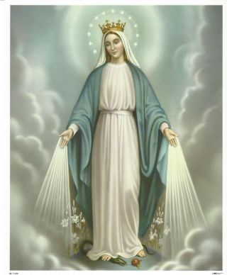 Catholic Print Picture Our Lady Of Grace Blessed Virgin Mary 8x10 "