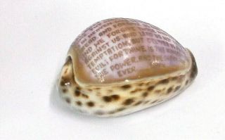 Vintage Sea Shell With The Lords Prayer Painted On Top 3 1/2 Inches Long