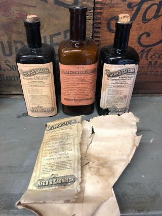 3 Reed & Carnrick Ny Labeled Antique Patent Quack Medicine Druggist Bottles