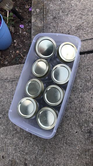 Anchor Hocking Half Pint Glass Canning Jar Set 8pk 2