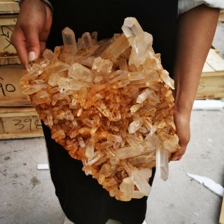 27.  5lb Natural Clear Quartz Cluster Mineral Crystal Specimen Healing