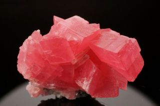 CLASSIC Rhodochrosite Crystal Cluster with Quartz SWEET HOME MINE,  COLORADO 2