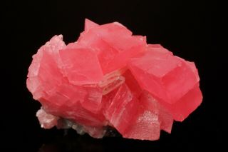 CLASSIC Rhodochrosite Crystal Cluster with Quartz SWEET HOME MINE,  COLORADO 3