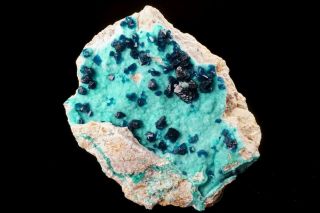 Find Extraordinary Veszelyite Crystal Cluster On Hemimorphite Congo