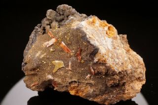 Rare Raspite With Stolzite Crystal Broken Hill,  Australia - Ex.  Lemanski