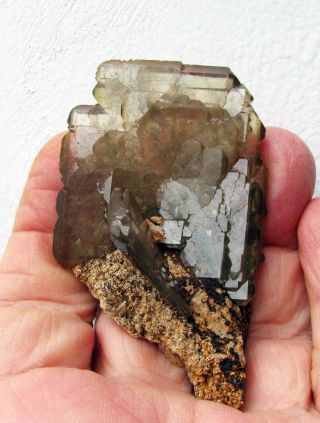 Barite Light Green Crystals On Red Sandstone Matrix From PerÚ.  Gorgeous Piece