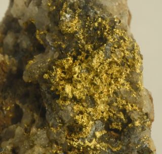 Crystalline Gold In Quartz From Red Cloud Mine,  Boulder,  Colorado 2.  435 Grams