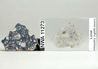 Meteorite Nwa 11273 - Lunar " Twins " Full Slice,  Xxl Thin Section