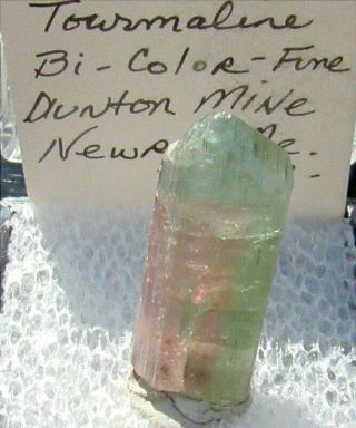Tn Bi - Color Terminated Tourmaline Crystal,  Dunton Mine,  Newry,  Maine 1972