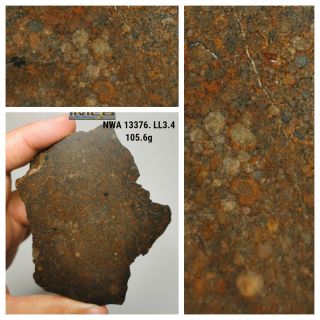 H12 - Rare Nwa 13376 Ll3.  4 Unequilibrated Chondrite Meteorite Endcut 105.  6g