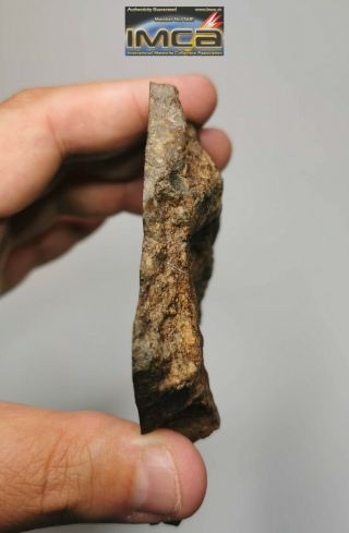 H12 - Rare NWA 13376 LL3.  4 Unequilibrated Chondrite Meteorite Endcut 105.  6g 3