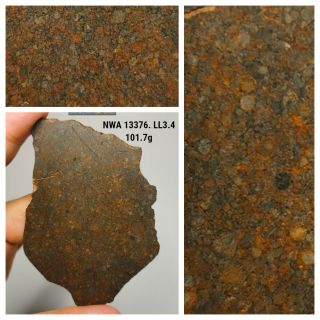 H11 - Rare Nwa 13376 Ll3.  4 Unequilibrated Chondrite Meteorite Slice 101.  7g
