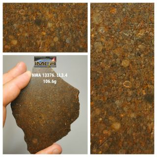 H9 - Rare Nwa 13376 Ll3.  4 Unequilibrated Chondrite Meteorite Slice 106.  6g