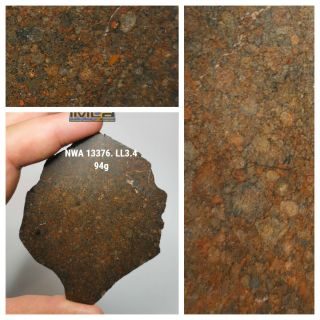 H8 - Rare Nwa 13376 Ll3.  4 Unequilibrated Chondrite Meteorite Slice 94g
