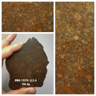 H6 - Rare Nwa 13376 Ll3.  4 Unequilibrated Chondrite Meteorite Slice 106.  4g
