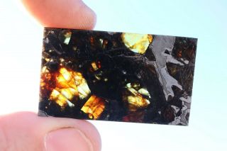 Admire Meteorite Pallasite Part Slice 9.  5 Grams