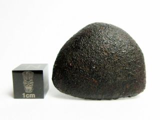 Nwa X Meteorite 18.  25g Oriented W/ Flowlines,  Extreme Frothiness,  Rollover