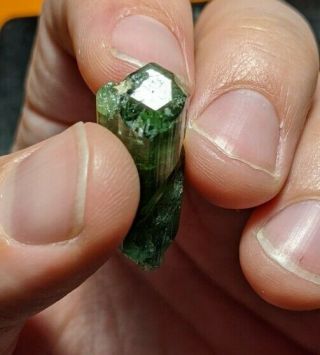 7.  1 gram terminated green/teal tourmaline crystal - self - collected in Maine 2
