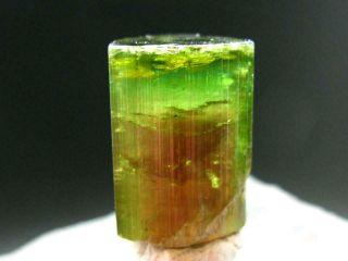 Rare Watermelon Tourmaline Crystal From Brazil - 1.  1 " - 85.  5 Carats