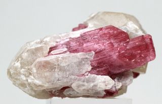Pink Tourmaline Rubellite In Quartz Crystal Cluster Mineral Specimen Russia