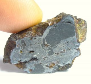 Nwa 4482 Pallasite Meteorite End Cut Peridot 16.  74 G.