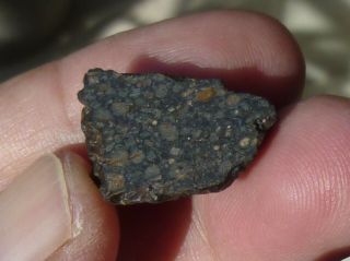 Meteorite Nwa 1465 - Rare Chondrite Carbonaceous Cv3 Anomalous - Endcut