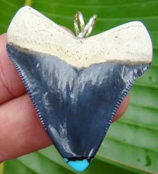 BONE VALLEY - MEGALODON SHARK Tooth Necklace - 1.  98 in DEEP BLUE w/ TURQUOISE 2