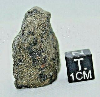 Meteorite Martian Shergottite Officially Classified Nea 009 Mars Meteorite