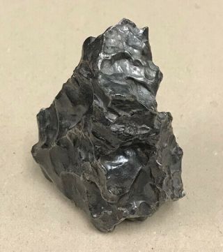 Sikhote Alin Meteorite iron - nickel sikhote - alin 740 grams 2