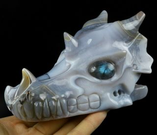 5.  0 " Gray & White Agate Carved Crystal Dragon Skull With Labradorite Eyes