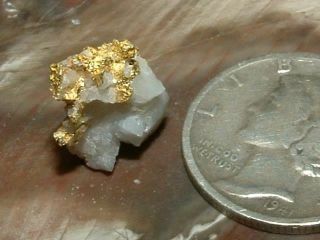 Rich Gold Quartz Specimen 1.  21 Gram Natural Gold In Quartz