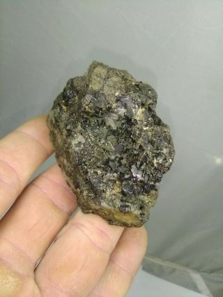 Ex Wards science Cassiterite w quartz crystals from Cornwall England antique 2